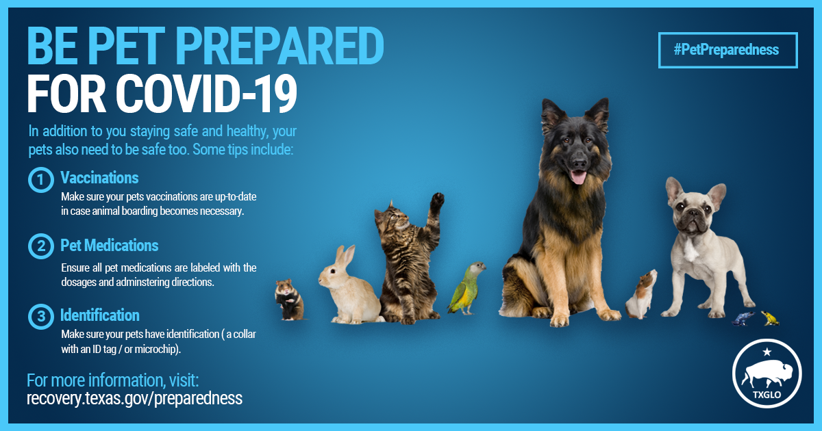 covid pet preparedness